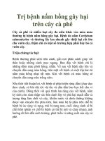 Trị bệnh nấm hồng gây hại trên cây cà phê ppt