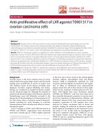 báo cáo hóa học: