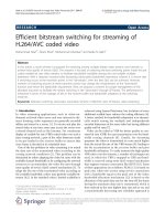 Báo cáo hóa học: 