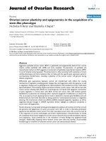 báo cáo hóa học: