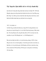 Tây Nguyên: Quá nhiều rủi ro với cây chanh dây doc