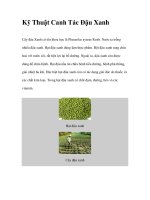 Kỹ Thuật Canh Tác Đậu Xanh doc