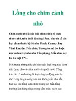 Lồng cho chim cảnh nhỏ ppt