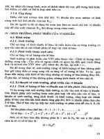 Giáo trình vi sinh vật học công nghiệp part 3 pptx