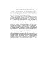 New Partnerships for Innovation in Microfinance_3 doc