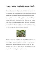 Nguy Cơ Lây Truyền Bệnh Qua Chuối docx