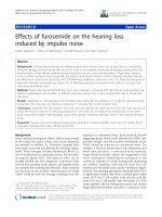 báo cáo hóa học: 