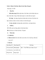Tuần 11. Hàm số luỹ thừa. Hàm số mũ. Hàm số logarit pdf