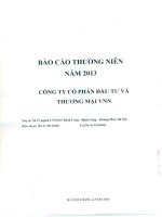 báo cáo thường niên 2013 công ty cổ phần đầu tư thương mại vnn