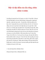 Một vài đặc điểm của sầu riêng, chôm chôm và nhãn docx