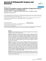 báo cáo hóa học: