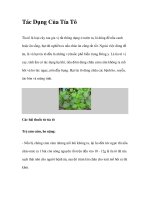 Tác Dụng Của Tía Tô pptx