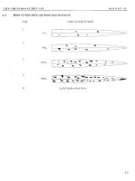 Tuyển tập tiêu chuẩn nông nghiệp Việt Nam tập 2 quyển 1 part 8 pptx