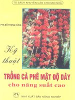 Kỹ thuật trồng cà phê mật độ dày cho năng suất cao part 1 pptx