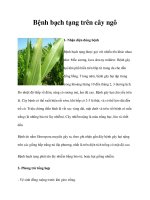 Bệnh bạch tạng trên cây ngô pdf