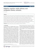 Báo cáo hóa học: 