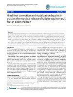 báo cáo hóa học: