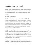 Bưởi Da Xanh Vào Vụ Tết pot