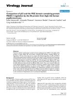 Báo cáo hóa học: 