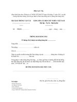 MẪU THÔNG BÁO HÀNG HẢI Về thông số kỹ thuật của luồng hàng hải pptx