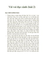 Vòi voi đục cành (loài 2) pptx