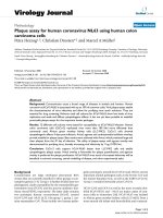 Báo cáo hóa học: 