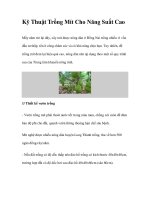 Kỹ Thuật Trồng Mít Cho Năng Suất Cao ppt