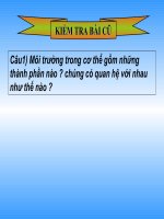 Bạch cầu  miễn dịch