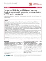 báo cáo hóa học: