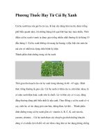 Phương Thuốc Hay Từ Cải Bẹ Xanh pdf