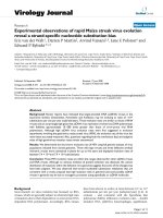 Báo cáo hóa học: 