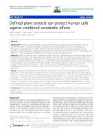 báo cáo hóa học: 