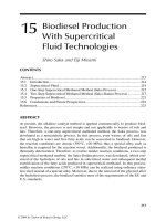 Handbook of plant based biofuels - Chapter 15 potx