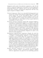 Practical Applications and Recommendations for HR and OD Professionals in the Global Workplace_13 docx