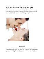 Giữ hơi thở thơm tho bằng hoa quả ppt