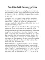 Nuôi tu hài thương phẩm docx