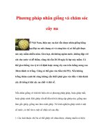 Phương pháp nhân giống và chăm sóc cây na doc