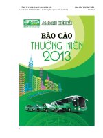 báo cáo thường niên 2013 công ty cổ phần mai linh miền bắc