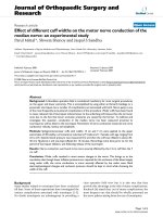 báo cáo hóa học: