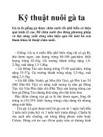 Kỹ thuật nuôi gà ta potx