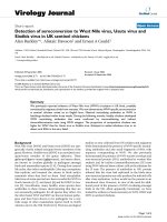 Báo cáo hóa học: 