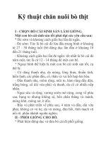 Kỹ thuật chăn nuôi bò thịt docx