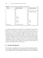 Harnessing the Power of Continuous Auditing_14 doc
