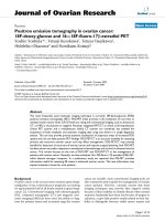 báo cáo hóa học: