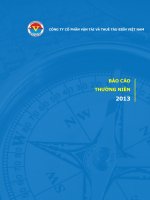 báo cáo thường niên 2013 công ty cổ phần vận tải và thuê tàu biển việt nam