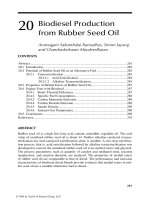 Handbook of plant based biofuels - Chapter 20 (end) ppt