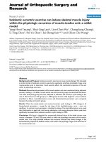 báo cáo hóa học: