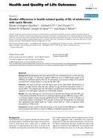 báo cáo hóa học: