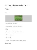 Kỹ Thuật Trồng Rau Muống Cạn An Toàn pdf