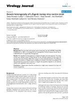 Báo cáo hóa học: 